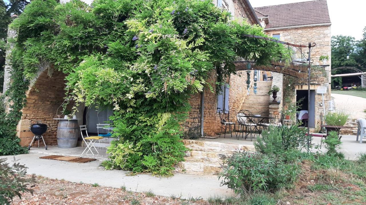 Charmant studio dans maison d'hôte dans un écrin de verdure Saint-Martin-le-Redon Esterno foto